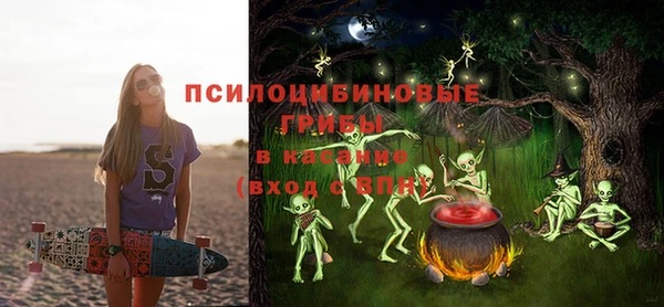 гашик Богданович