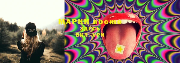 гашик Богданович