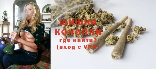 apvp Богородск