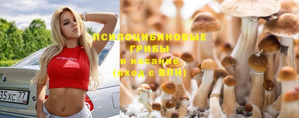 apvp Богородск