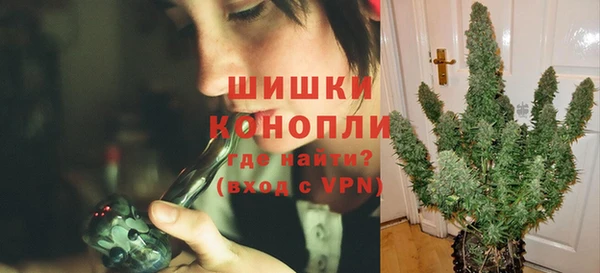 гашик Богданович